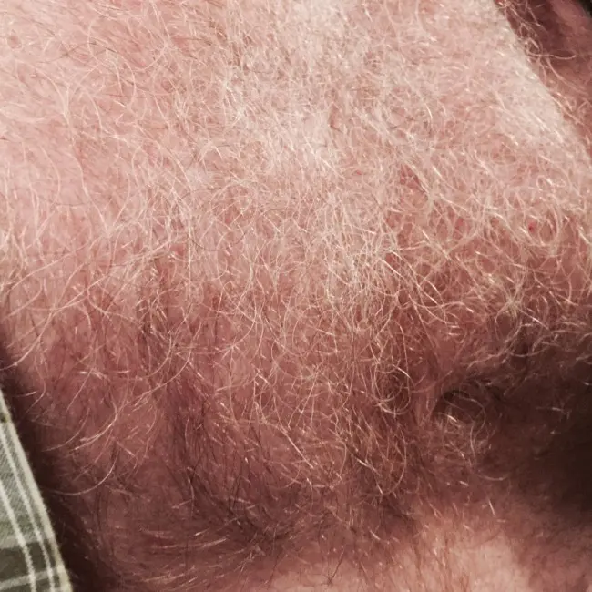 0896DF44-2BA9-4E84-9B88-C4F8A4C9E705