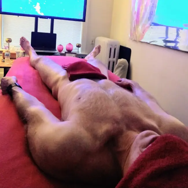 IMG_20190303_134338499