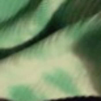 Profile picture of Marco Mezquita