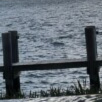 Profile picture of willian.miami77@gmail.com