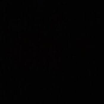 Profile picture of Saltyoctopus