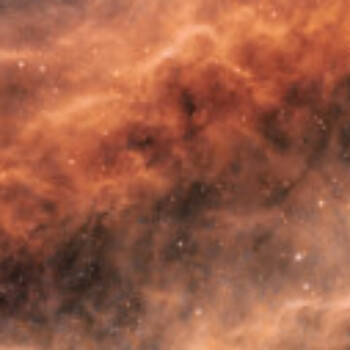 Profile picture of brotherman