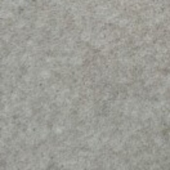 Profile picture of C