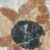 Profile picture of Ost123
