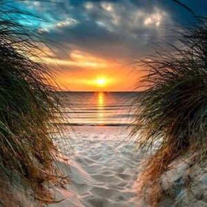 fb_img_1528270994153